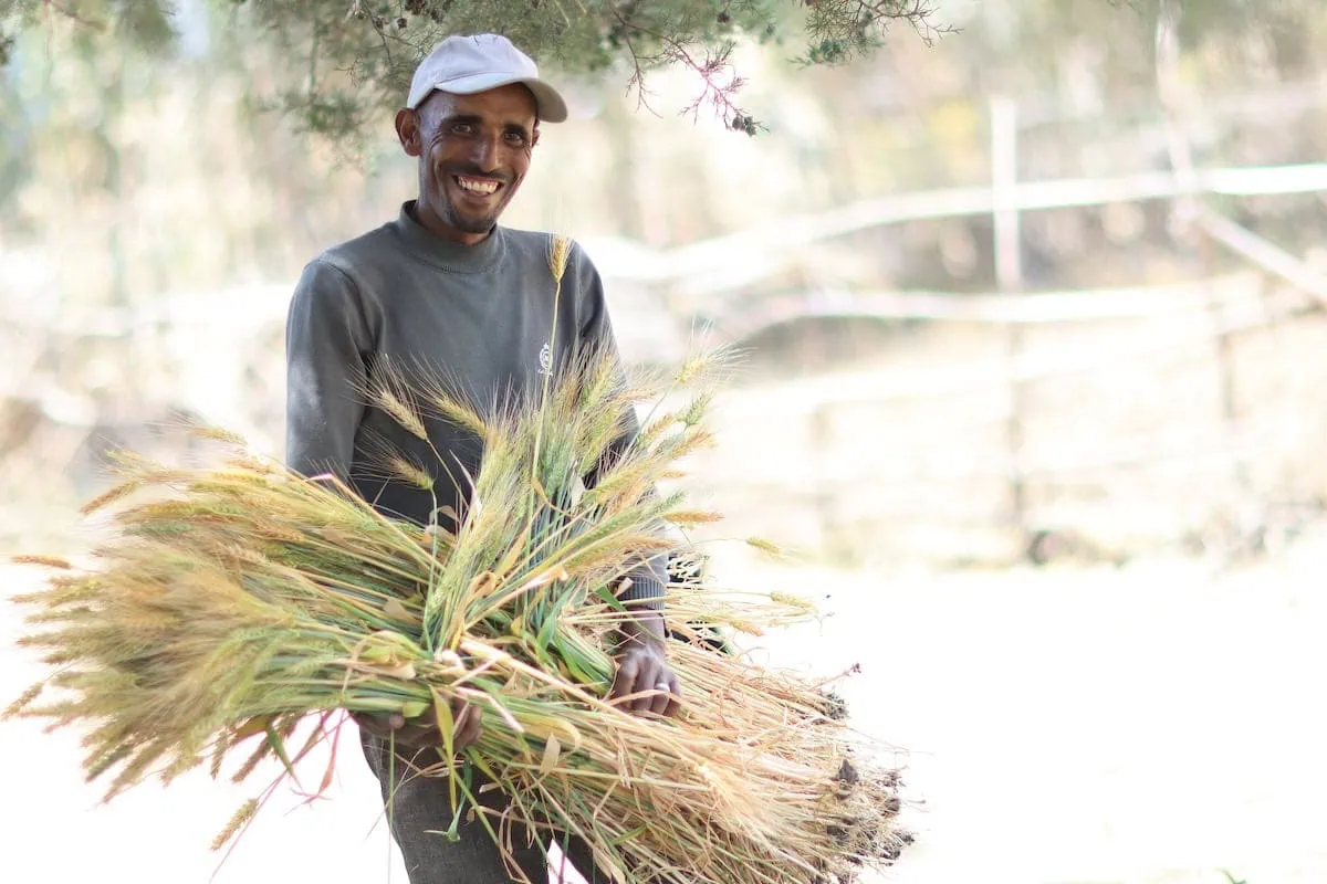 Rebuilding Life and Livelihood Through Dairy Farming